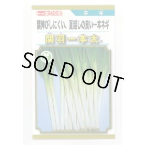 画像: 送料無料　[ねぎ]　関羽一本太　5ml(およそ1,085粒)　(株)トーホク