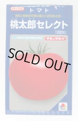 画像: 送料無料　[トマト/桃太郎系]桃太郎セレクト　1000粒　タキイ種苗(株)
