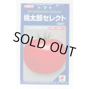 画像: 送料無料　[トマト/桃太郎系]桃太郎セレクト　1000粒　タキイ種苗(株)