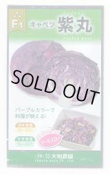 画像: 送料無料　[キャベツ]　紫丸　1ml　(およそ190粒)　（株）大和農園