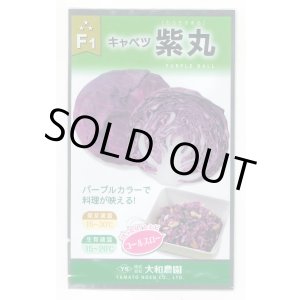 画像: 送料無料　[キャベツ]　紫丸　1ml　(およそ190粒)　（株）大和農園