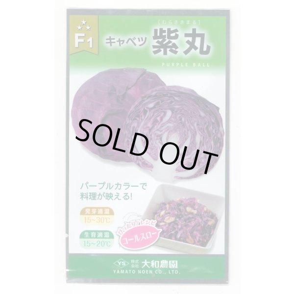 画像1: 送料無料　[キャベツ]　紫丸　1ml　(およそ190粒)　（株）大和農園 (1)