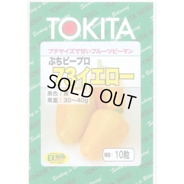 画像1: 送料無料　[ピーマン]　ぷちピープロ　イエロー73　10粒　トキタ種苗(株) (1)