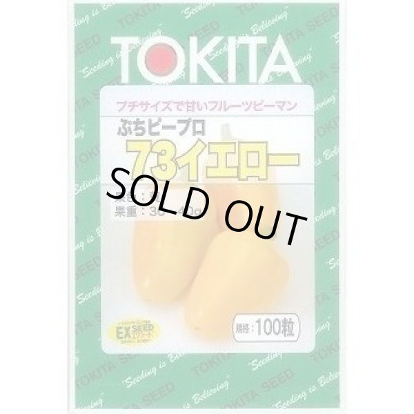 画像1: 送料無料　[ピーマン]　ぷちピープロ73　イエロー　100粒　トキタ種苗(株) (1)