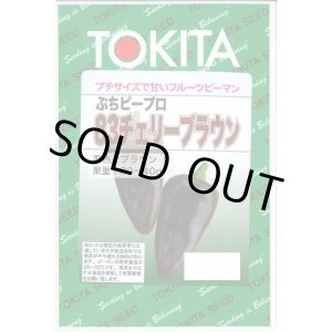 画像: 送料無料　[ピーマン]　ぷちピープロ83　チェリーブラウン　100粒　トキタ種苗(株)
