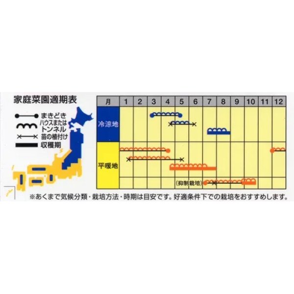 画像2: [スイカ]　小玉スイカ（ラグビー型）　飛行船ラルク　7粒　ナント種苗（株）　 (2)