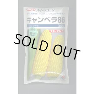 画像: 送料無料　[とうもろこし]　キャンベラ86　200粒　タキイ種苗(株)