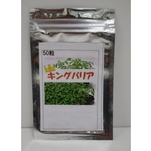 画像: 送料無料　[台木/トマト用]　キングバリア　50粒　タキイ種苗(株)