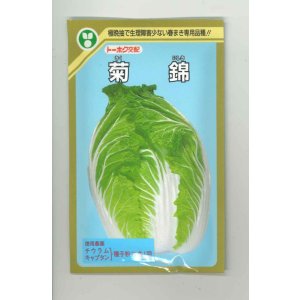 画像: 送料無料　[白菜]　菊錦　20ml　(株)トーホク