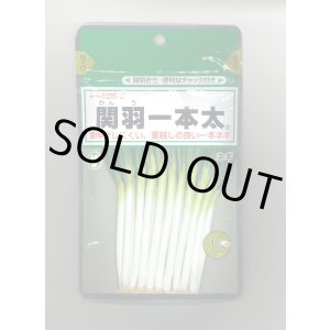 画像: 送料無料　[ねぎ]　関羽一本太　1dl　(株)トーホク