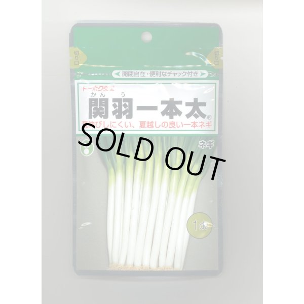 画像1: 送料無料　[ねぎ]　関羽一本太　1dl　(株)トーホク (1)