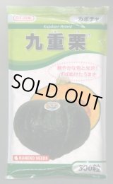 画像: 送料無料　[かぼちゃ]　九重栗　500粒　カネコ種苗（株）