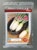 画像: 送料無料 [大根] ミニダイコン ころっ娘 2dl (株)サカタのタネ