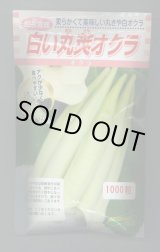 画像: 送料無料　[オクラ]　白い丸莢オクラ　1000粒　松永種苗(株)