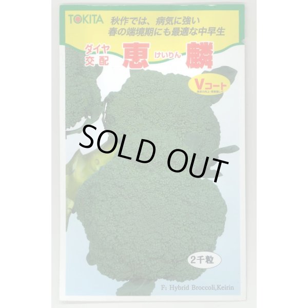 画像1: 送料無料　[ブロッコリー]　恵麟　2000粒　トキタ種苗(株) (1)
