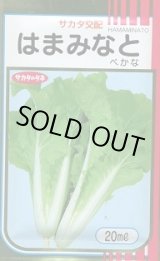 画像: 送料無料　[葉物]　はまみなとべかな　20ml　サカタのタネ(株)