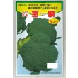 画像1: 送料無料　[ブロッコリー]　恵麟　小袋(およそ150粒)　トキタ種苗(株) (1)