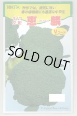 画像: 送料無料　[ブロッコリー]　恵麟　小袋(およそ150粒)　トキタ種苗(株)