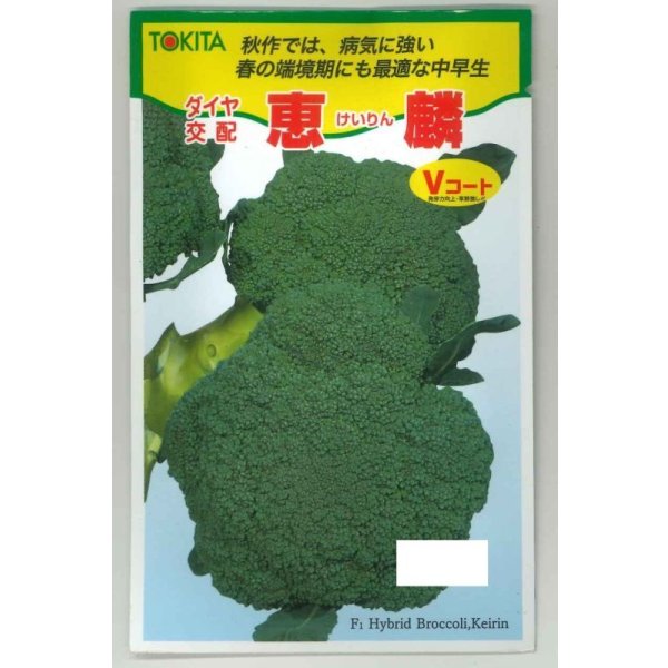 画像1: 送料無料　[ブロッコリー]　恵麟　小袋(およそ150粒)　トキタ種苗(株) (1)