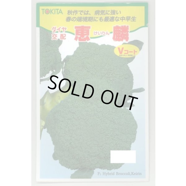 画像1: 送料無料　[ブロッコリー]　恵麟　小袋(およそ150粒)　トキタ種苗(株) (1)
