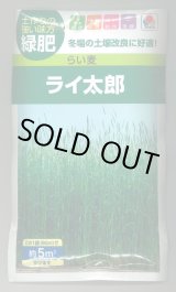 画像: 送料無料　[緑肥]　らい麦　ライ太郎　60ml　タキイ種苗(株)