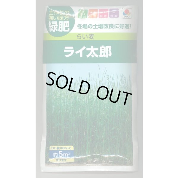画像1: 送料無料　[緑肥]　らい麦　ライ太郎　60ml　タキイ種苗(株) (1)