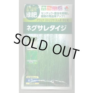 画像: 送料無料　[緑肥]　ネグサレタイジ　60ml　タキイ種苗(株)