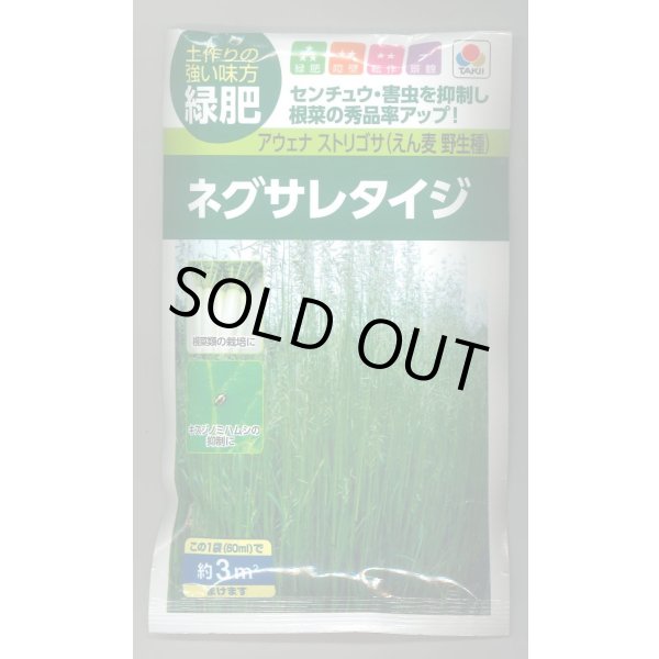 画像1: 送料無料　[緑肥]　ネグサレタイジ　60ml　タキイ種苗(株) (1)