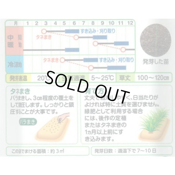 画像2: 送料無料　[緑肥]　ネグサレタイジ　60ml　タキイ種苗(株) (2)