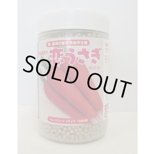 画像: [人参]　恋うさぎ　コート1万粒　ナント種苗(株)