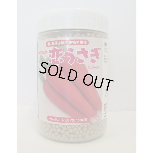 画像1: [人参]　恋うさぎ　コート1万粒　ナント種苗(株) (1)