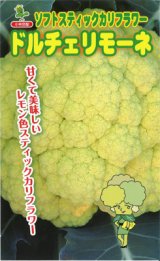 画像: 送料無料　[カリフラワー]　ドルチェリモーネ　0.5ml　小林種苗
