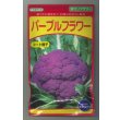 画像1: 送料無料　[カリフラワー]　パープルフラワー　コート　30粒　武蔵野交配 (1)