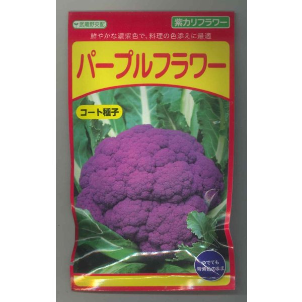 画像1: 送料無料　[カリフラワー]　パープルフラワー　コート　30粒　武蔵野交配 (1)