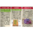 画像3: 送料無料　[カリフラワー]　パープルフラワー　コート　30粒　武蔵野交配 (3)