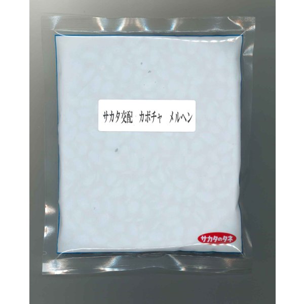 画像1: [かぼちゃ] メルヘン 500粒 (株)サカタのタネ (1)