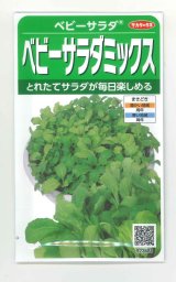 画像: 送料無料　[レタス]　ベビーサラダミックス　約2500粒　(株)サカタのタネ　実咲350（003037）