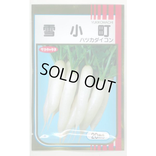 画像1: 送料無料 [大根] はつかだいこん 雪小町 20ml (株)サカタのタネ (1)