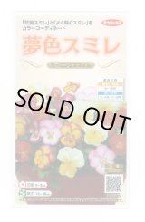 画像: 送料無料　花の種　パンジー　夢色スミレ　モーニングスマイル　約50粒　(株)サカタのタネ　実咲500（105173）