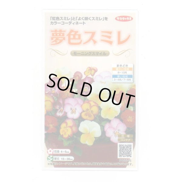 画像1: 花の種 パンジー 夢色スミレ モーニングスマイル 約50粒 (株)サカタのタネ 実咲500（105173） (1)