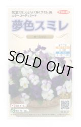 画像: 送料無料　花の種　パンジー　夢色スミレ　オーシャン　約50粒　(株)サカタのタネ　実咲500（105174）
