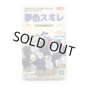 画像: 送料無料　花の種　パンジー　夢色スミレ　オーシャン　約50粒　(株)サカタのタネ　実咲500（105174）