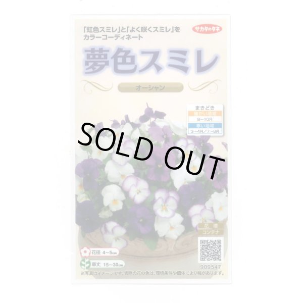 画像1: 花の種 パンジー 夢色スミレ オーシャン 約50粒 (株)サカタのタネ 実咲500（105174） (1)