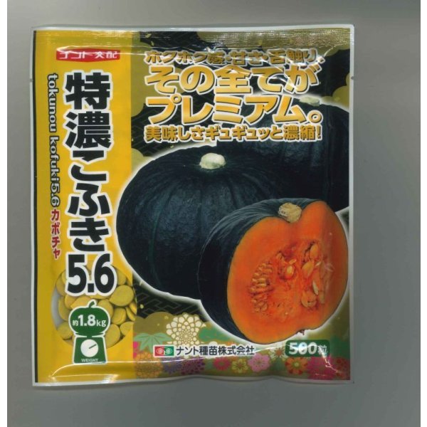 画像1: 送料無料　[かぼちゃ]　特濃こふき5.6　500粒　ナント種苗(株) (1)