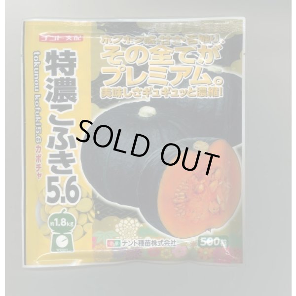 画像1: 送料無料　[かぼちゃ]　特濃こふき5.6　500粒　ナント種苗(株) (1)