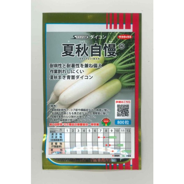 画像1: [大根] 夏秋自慢 800粒 (株)サカタのタネ (1)