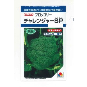 画像: 送料無料　[ブロッコリー]　チャレンジャーSP　150粒　タキイ種苗(株)　DF