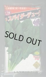 画像: ほうれんそう　スパイダーデューク　3万粒(種子サイズ:M)　トキタ種苗(株)