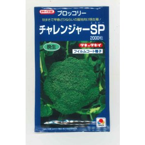画像: 送料無料　[ブロッコリー]　チャレンジャーSP　2,000粒　タキイ種苗(株)