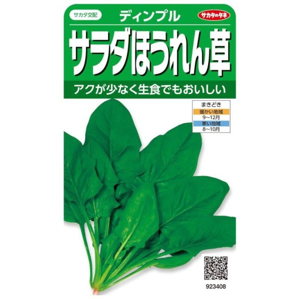 画像1: 送料無料　[ほうれんそう]　サラダほうれん草　ディンプル　約750粒　(株)サカタのタネ　実咲250（003006） (1)